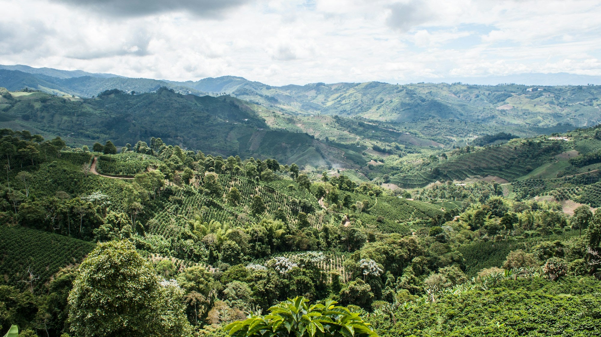 Scenic view of Colombian green hills and valleys with a cloudy sky